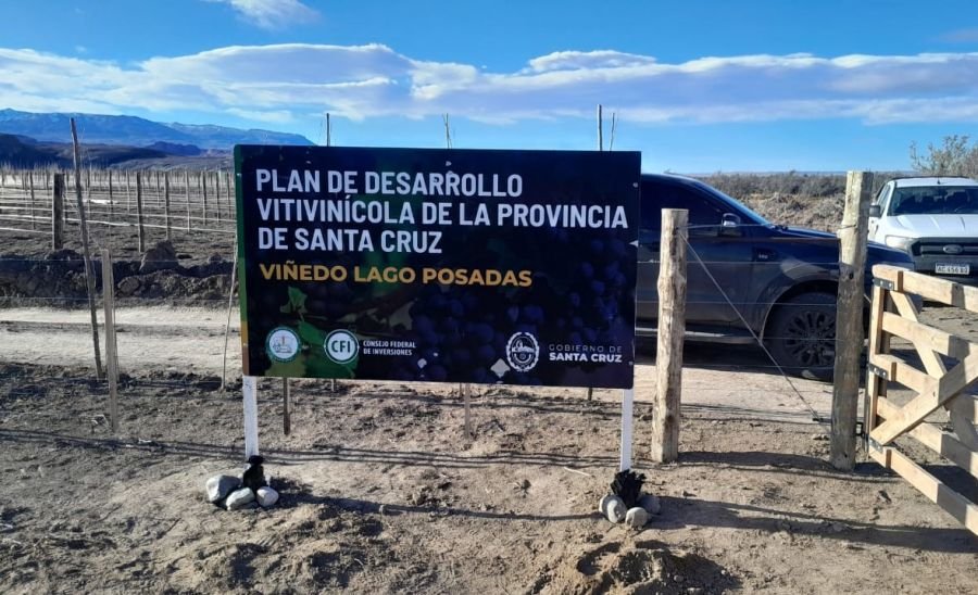 Santa Cruz ya tiene su propio viñedo en Lago Posadas