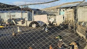 El Gobierno Provincial acompaña a pequeños productores en Julia Dufour