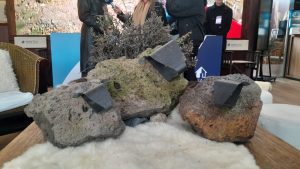 En la Expo Rural 2025 Leguizamón subrayó el apoyo a la producción y la importancia de alentar las inversiones