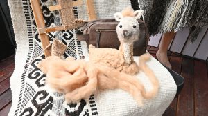 Santa Cruz presenta "Tierra Amada" y su poncho emblemático