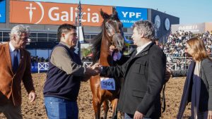 Vidal propuso una articulación patagónica para fortalecer la producción local