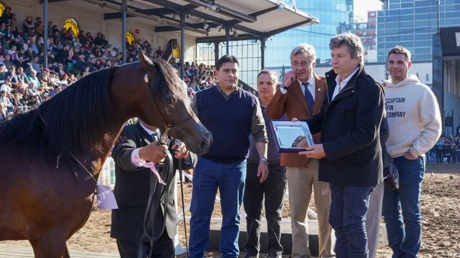 Vidal propuso una articulación patagónica para fortalecer la producción local