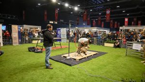 Santa Cruz exhibió esquila de ovejas y su tradicional poncho en la Rural de Buenos Aires