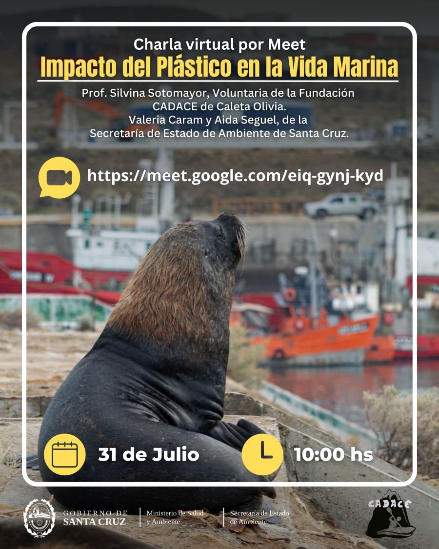 La Secretaría de Ambiente y CADACE cierran el mes de “Julio sin Plástico” con una charla virtual