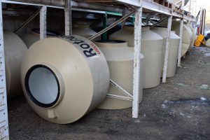 #JulioSinPlastico: Acciones que instan a ser responsables con el uso del plástico