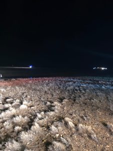 Operativo de emergencia ante el trágico incidente de tránsito en la Ruta Nacional Nº 3