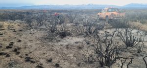 El Consejo Agrario refuerza las medidas de control para la prevención de incendios en Santa Cruz
