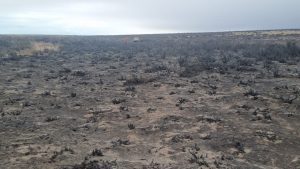 El Consejo Agrario refuerza las medidas de control para la prevención de incendios en Santa Cruz