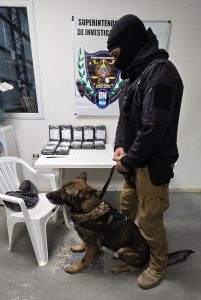 Golpe histórico al narcotráfico: secuestran cocaína por más de $780.000.000 en Caleta Olivia