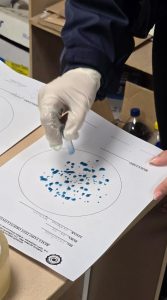 Golpe histórico al narcotráfico: secuestran cocaína por más de $780.000.000 en Caleta Olivia