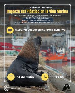 “Julio sin Plástico”: charla virtual para concientizar sobre el impacto dañino en el ambiente