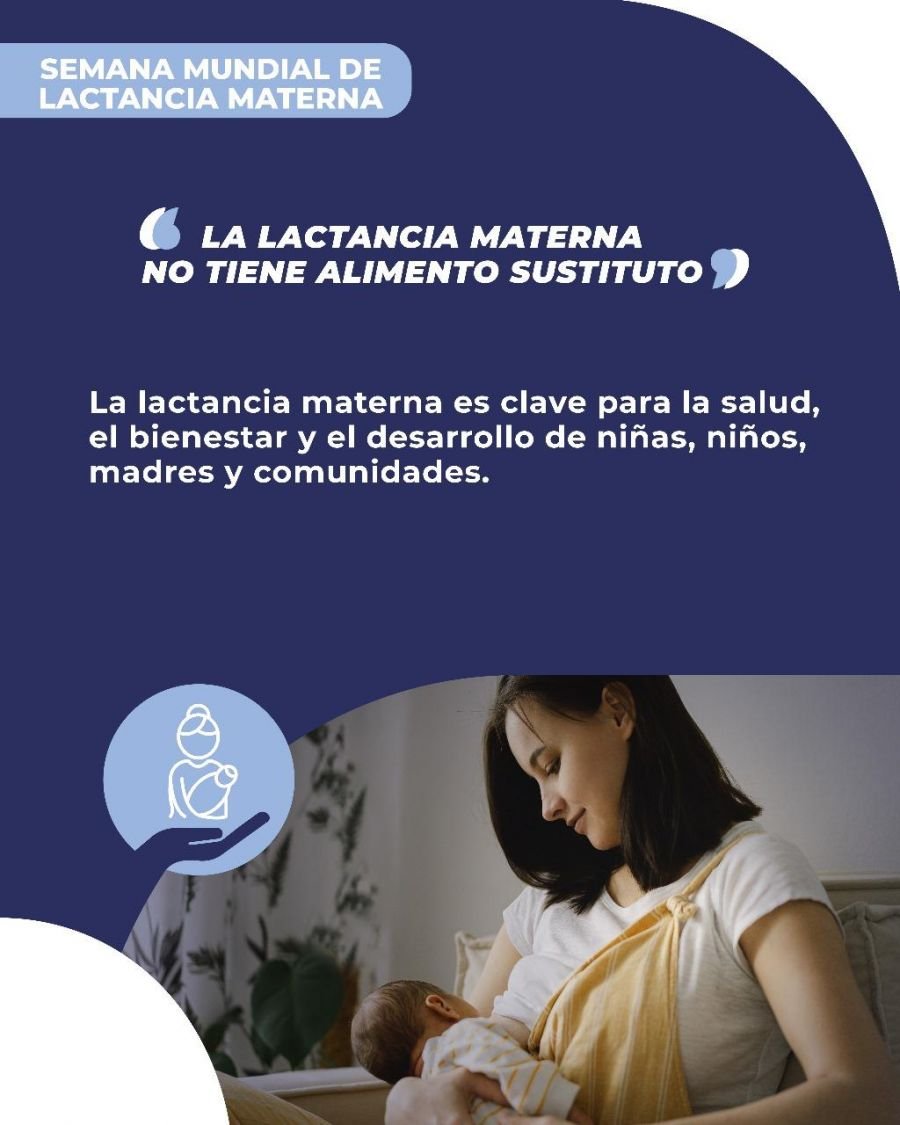 La Semana Mundial de la Lactancia materna remarca la importancia de la nutrición y el acompañamiento