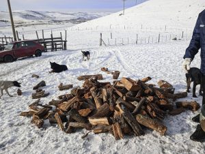 Plan Invernal: El Ministerio de Desarrollo Social continúa con el despliegue territorial en Río Turbio