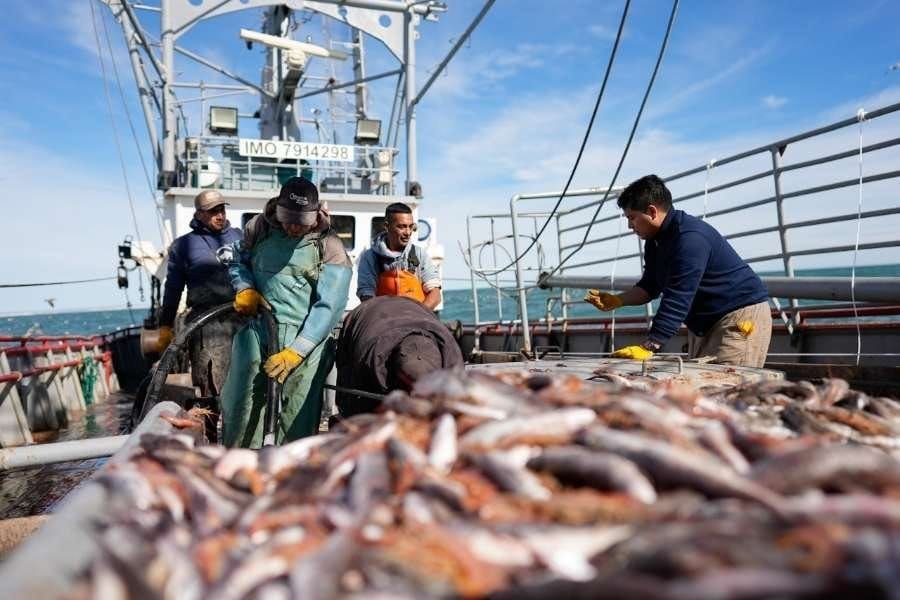 Santa Cruz logra un aumento de la cuota social de langostino