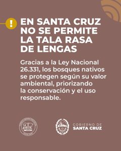 La lenga: un recurso valioso del bosque nativo de Santa Cruz