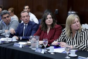 La Provincia estuvo presente en el Consejo Federal de Salud