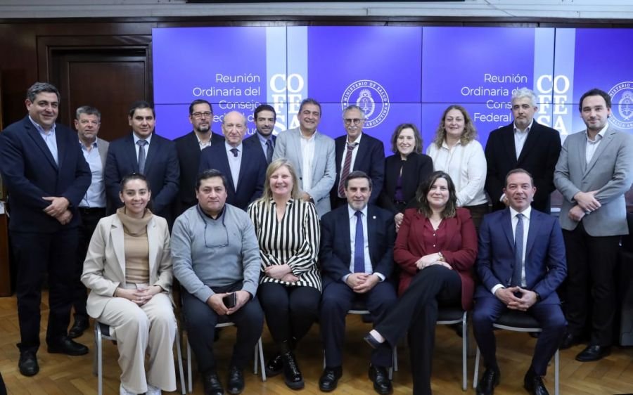 La Provincia estuvo presente en el Consejo Federal de Salud