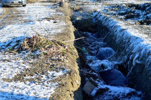 Exitoso cierre de la campaña “Compostando en Otoño”