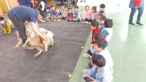 Se dio inicio a la Socialización Virtual de Proyectos de Jardines de Infantes