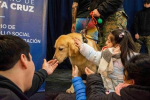 Masiva convocatoria en la jornada “Pequeñas sonrisas, grandes sueños” en el CIC del Carmen