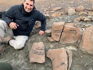 Investigador del Conicet presentará nuevo hallazgo paleontológico en Santa Cruz