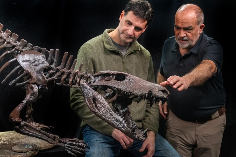 Investigador del Conicet presentará nuevo hallazgo paleontológico en Santa Cruz