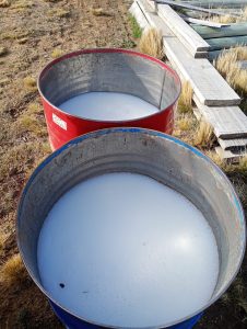 Productores de Santa Cruz implementan medidas de prevención contra la sarna ovina durante la zafra de esquila 2024/2025