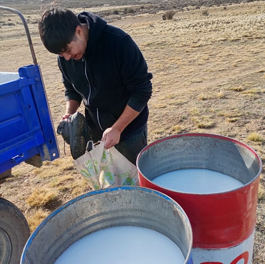 Productores de Santa Cruz implementan medidas de prevención contra la sarna ovina durante la zafra de esquila 2024/2025