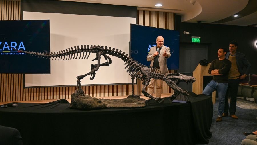 Kósten: un cocodrilo gigante de la era de los dinosaurios descubierto en Santa Cruz