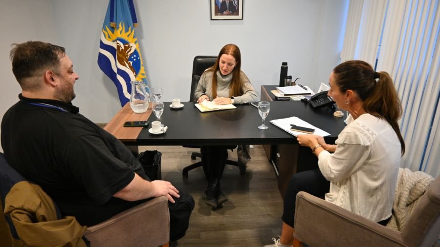 Instancias de trabajo para el fortalecimiento de políticas sanitarias