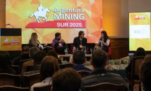 Amplia convocatoria al panel sobre Energía, Minería y Comunicación para periodistas santacruceños