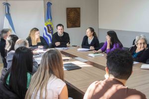 Continúan las mesas de trabajo entre Desarrollo Social y ONG para la reglamentación de la Ley Provincial de Discapacidad