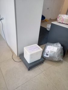 Estudios científicos sobre cóndor electrocutado y la recuperación de Walaq