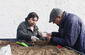 Adultos mayores fortalecen la autosustentabilidad de alimentos con talleres de huerta