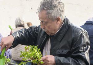 Adultos mayores fortalecen la autosustentabilidad de alimentos con talleres de huerta