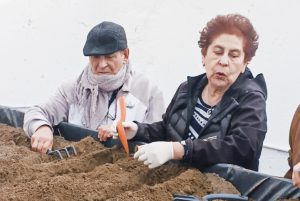Adultos mayores fortalecen la autosustentabilidad de alimentos con talleres de huerta