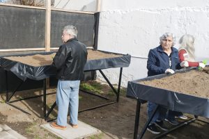 Adultos mayores fortalecen la autosustentabilidad de alimentos con talleres de huerta