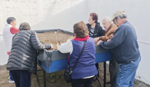 Adultos mayores fortalecen la autosustentabilidad de alimentos con talleres de huerta