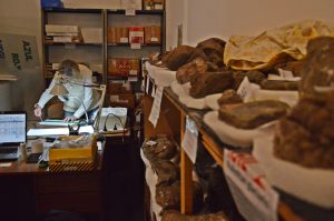 Donde el paisaje guarda memoria: Patricia Campán y la arqueología como acto de amor al sur