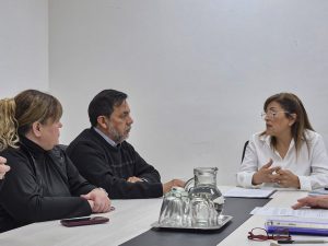 Continúan los avances en la reglamentación de la Ley Provincial sobre discapacidad