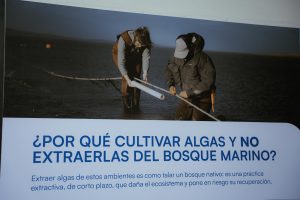 El Consejo Agrario y Fundación Por El Mar impulsan acciones para cuidar los recursos marinos