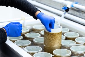 Santa Cruz acompañó la inauguración de la primera granja marina del país en San Julián