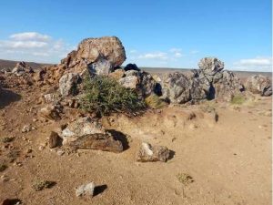 Exploración en El Dorado Monserrat confirma alto potencial y permite posible alianza con FOMICRUZ