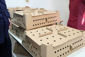 Puerto Santa Cruz avanza en el proyecto avícola impulsado por Santa Cruz Puede