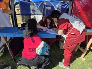 El Gobierno Provincial participó en la Fiesta de la Primavera Amarilla de Caleta Olivia