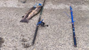 Operativo de control en Güer Aike: Decomisaron ejemplares de trucha en veda