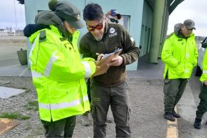 Operativo de control en Güer Aike: Decomisaron ejemplares de trucha en veda