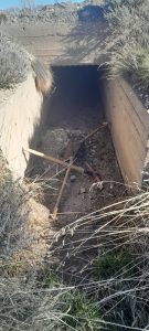 El Gobierno Provincial impulsa mejoras en la red de riego de Gobernador Gregores