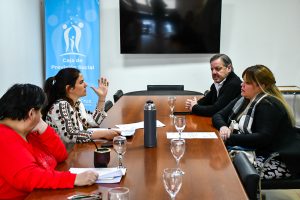 Ley Provincial de Discapacidad: encuentro de trabajo con la Caja de Previsión Social