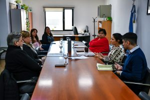 Ley Provincial de Discapacidad: encuentro de trabajo con la Caja de Previsión Social